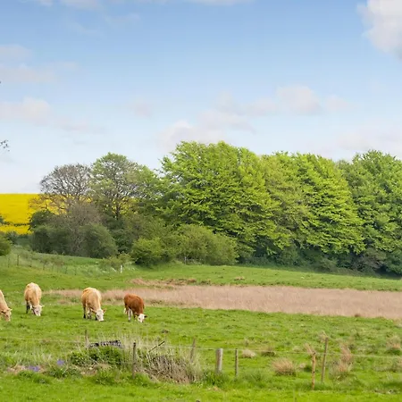 Cozy In With Wifi * Rødekro