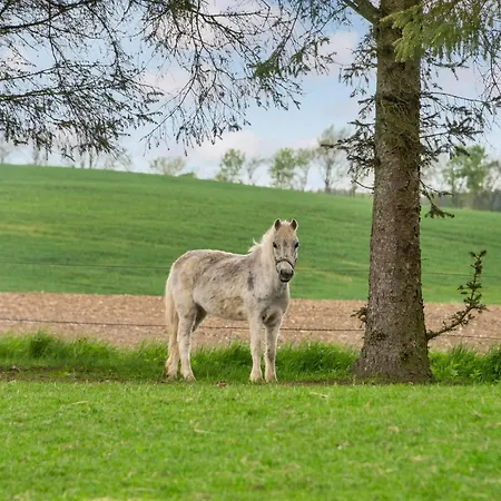 Ferienhaus Cozy In With Wifi Rødekro