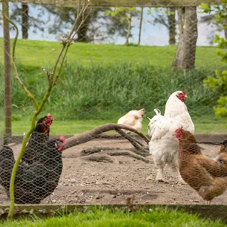 Cozy In With Wifi Ferienhaus