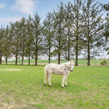 Cozy In With Wifi * Rødekro